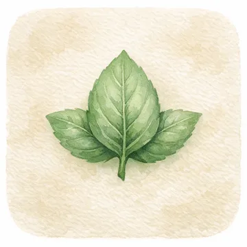 Icon concept explored and dropped: Leaf, painted.